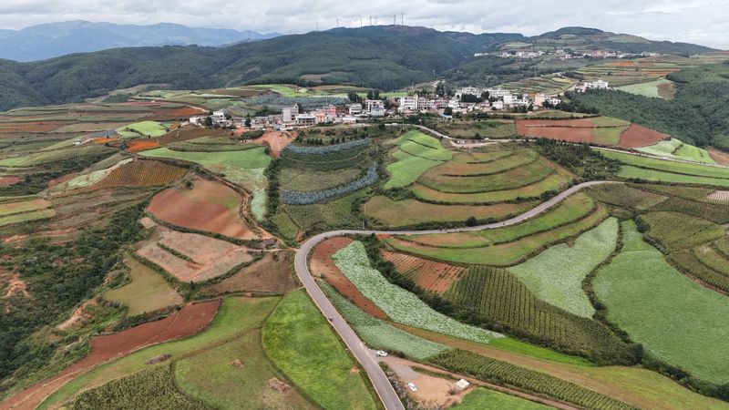 Dongchuan Red Land