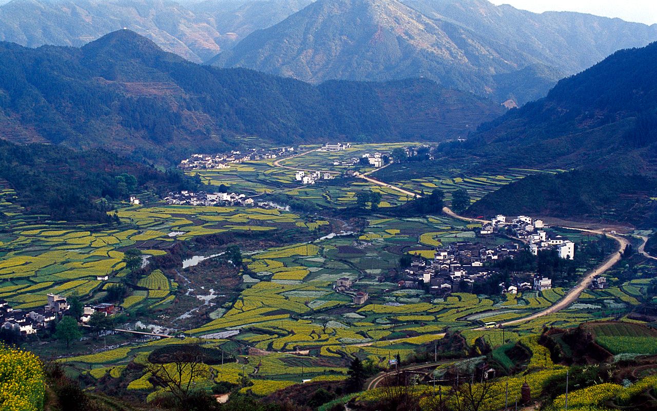 Jiangling Rapeseed Terraces